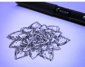 lotus (sketch)